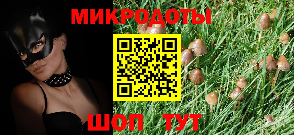 Галлюциногенные грибы мицелий  Вход с VPN  Ачхой-Мартан  Псилоцибиновые грибы Psilocybine cubensis 